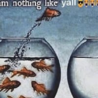 I'm Nothing Like Y'all