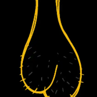 抬起你的蛋蛋，把屁股掰开