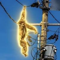 Chimp on Pole
