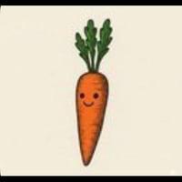The Orange Carrot