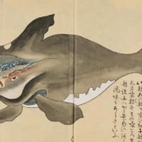 The Japanese Whale