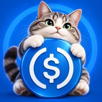 United States Dollar Cat
