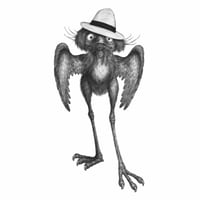 JubJub Bird