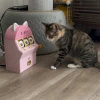 The Gambling Cat logo