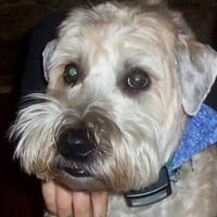Duke