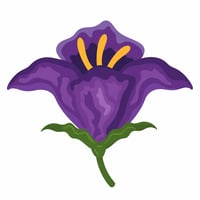 NIGHTSHADE logo