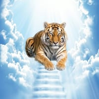 Altai the Tiger