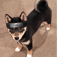 Niba