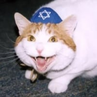 JEWCAT