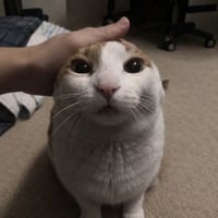 RAMCAT
