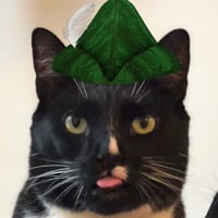 catwifhat on Robinhood