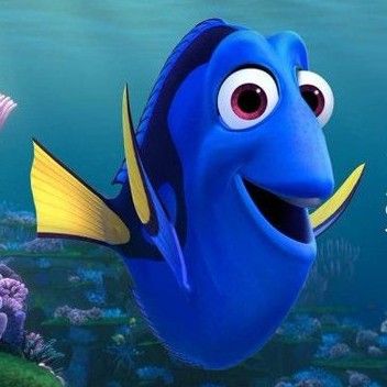 DORY