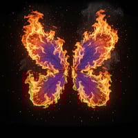焚凰蝶
