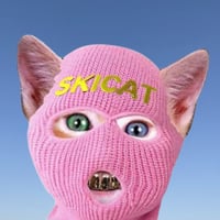 SKICAT