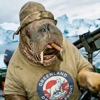 Greenland Defense Front