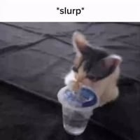 SLURPCAT logo