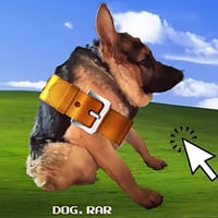 dog.rar