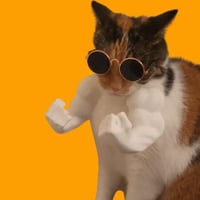 meowscles