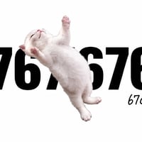 67CAT logo