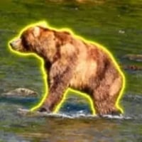 Bear 89 Backpack