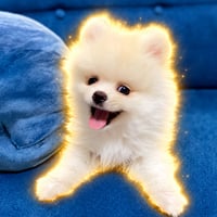 Logo de エマちゃん