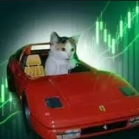 No Risk No Rari