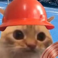 Copper Cat