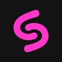 Swaputer