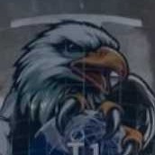 The SpaceX Eagle