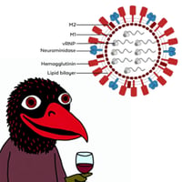 H5N1