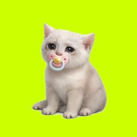 Baby Cash Cat