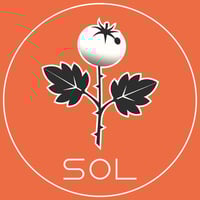 Sol The Trophy Tomato