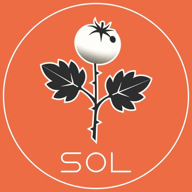 Sol The Trophy Tomato