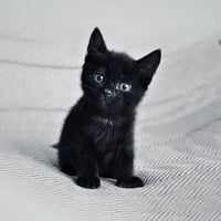 BLACKY