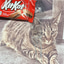 Remember KitKat