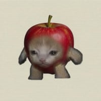 Apple Cat