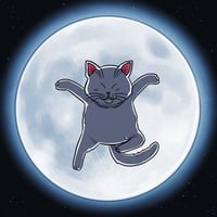 KORIN