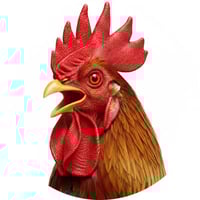 COCK