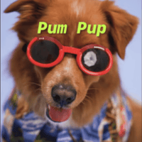 PUP