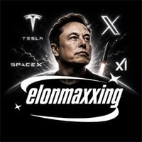elon maxxing