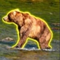 Logo de Backpack Bear 89