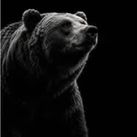 BEAR logo
