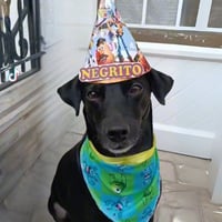 Negrito