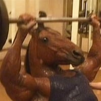 NONSTOP HORSE