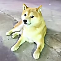 刀哥