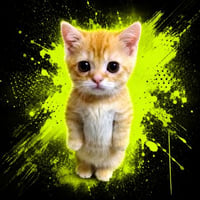 §{project.tokenName} project token, view analysis on Boostexplorer
