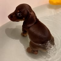 Fart Dog