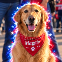 MAGGIE logo