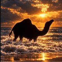 Camel