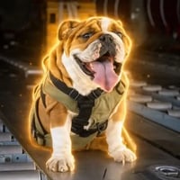 BRUNO